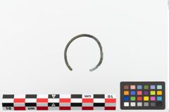 Foto von Bronzering (NHMW-PRAE-023872)